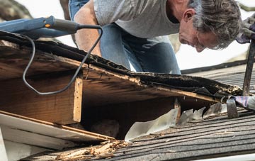 common causes of Grain fascia damage
