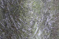 Grain fibreglass roof work